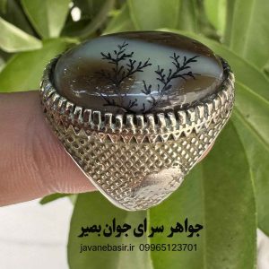 جواهر سرای جوان بصیر | مرجع تخصصی علوم غریبه و طب سنتی 232 خرید انگشتر عقیق با کاروینگ شجر | رکاب فیلی حصاری