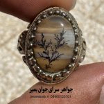 انگشتر عقیق سلیمانی نقش شجر | جاذبه، کاریزما و تسخیر قلب‌ها