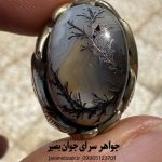 انگشتر عقیق سلیمانی کاروینگ شجر | سپر زبان‌بند و حصار انرژی