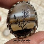 خرید انگشتر عقیق سلیمانی کاروینگ شجر | پناهگاه رزق و سپر محافظتی