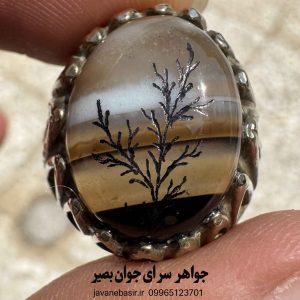 خرید انگشتر عقیق سلیمانی کاروینگ شجر | پناهگاه رزق و سپر محافظتی 4 انگشتر عقیق سلیمانی